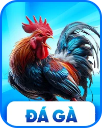đá gà